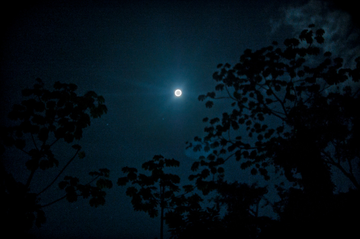 Caminatas Nocturnas en Reservas Naturales Dominicanas