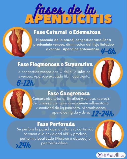 Más Información de Interes