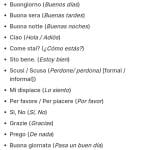 Cómo aprender frases básicas en idiomas