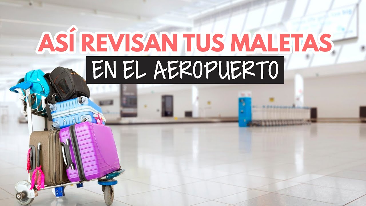 ¿Estás listo para convertir tu maleta en un festín portátil?