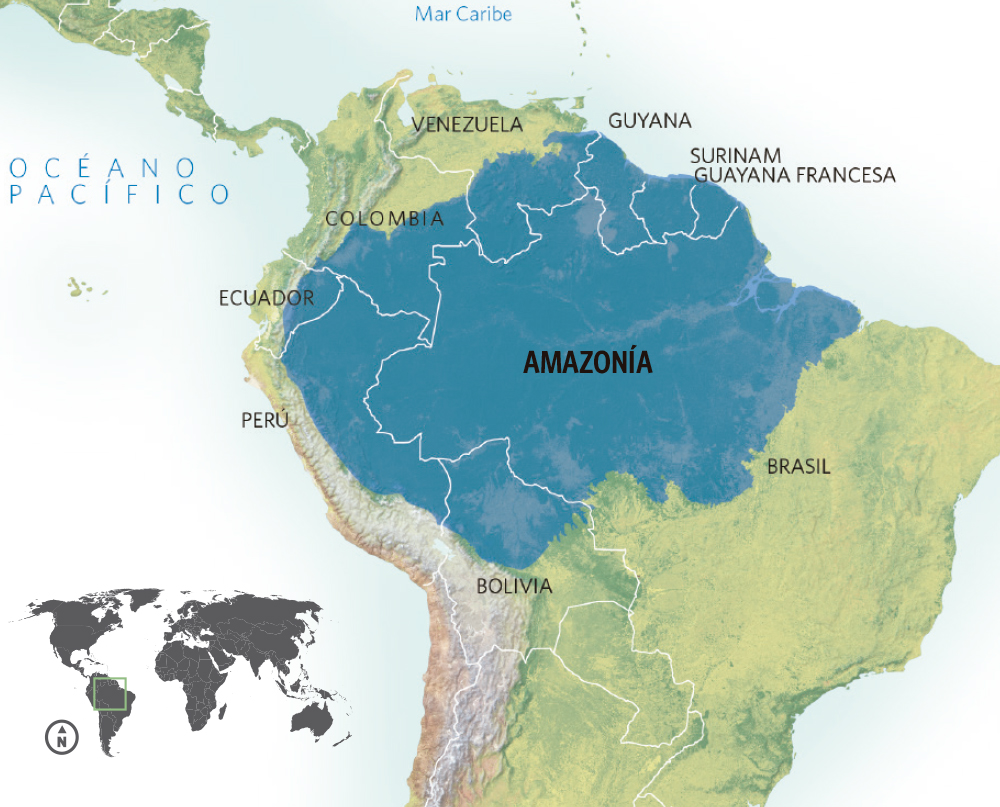 Preparar feijoada, ¿es como descifrar un mapa antiguo en pleno Amazonas?